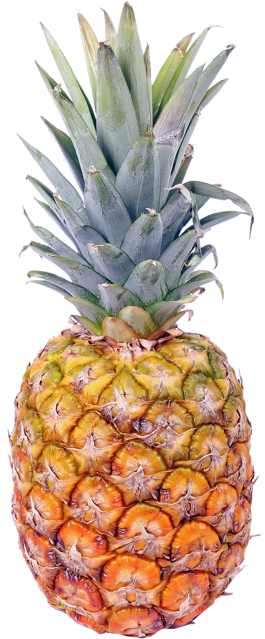 isolated, pineapple, fruit, beach, caribbean, vacations, nature, tropics, pineapple, pineapple, pineapple, pineapple, pineapple